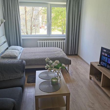 Modern Studio Debreceno, Self-Check-In, Free Parking Клайпеда Экстерьер фото